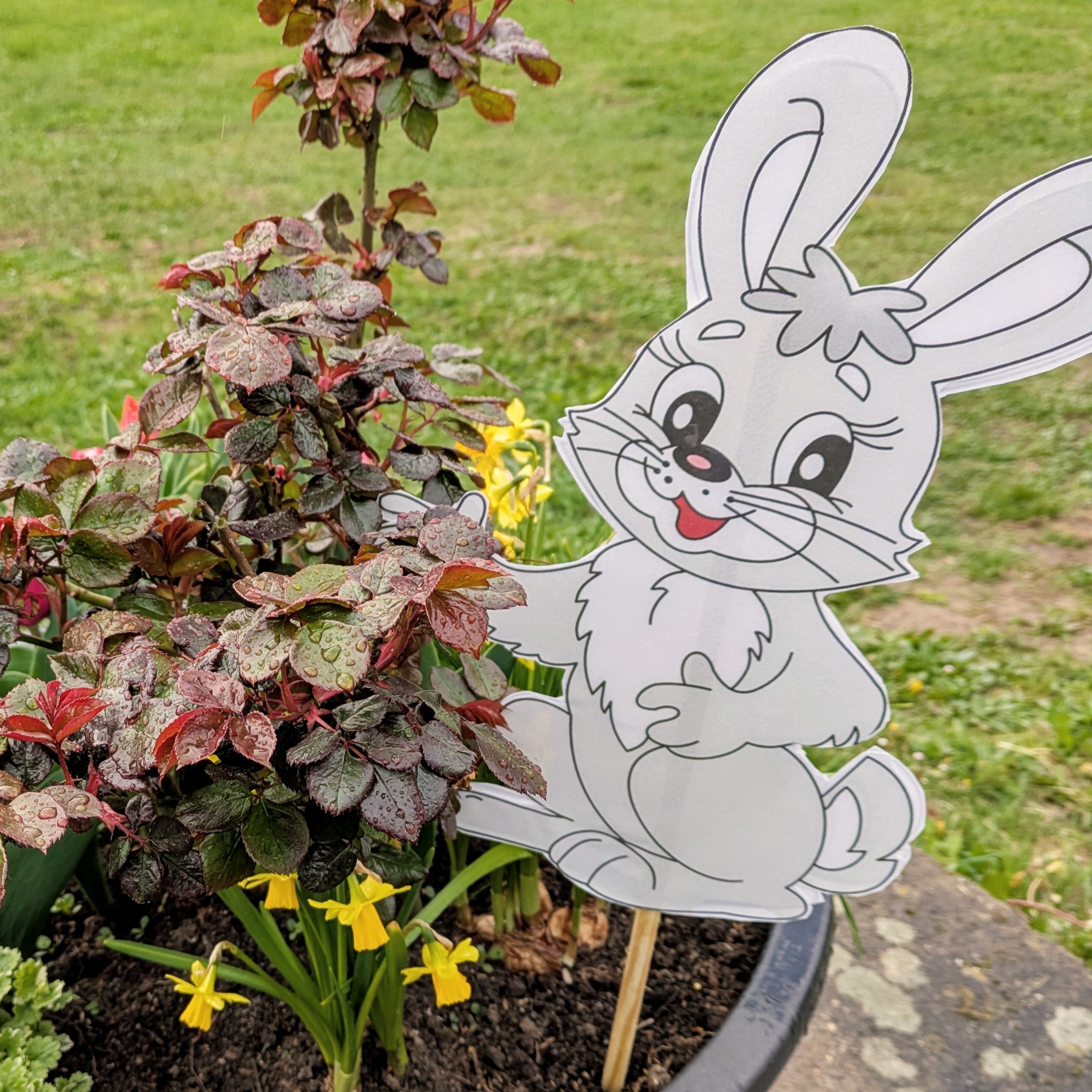 Osterhase im Beet