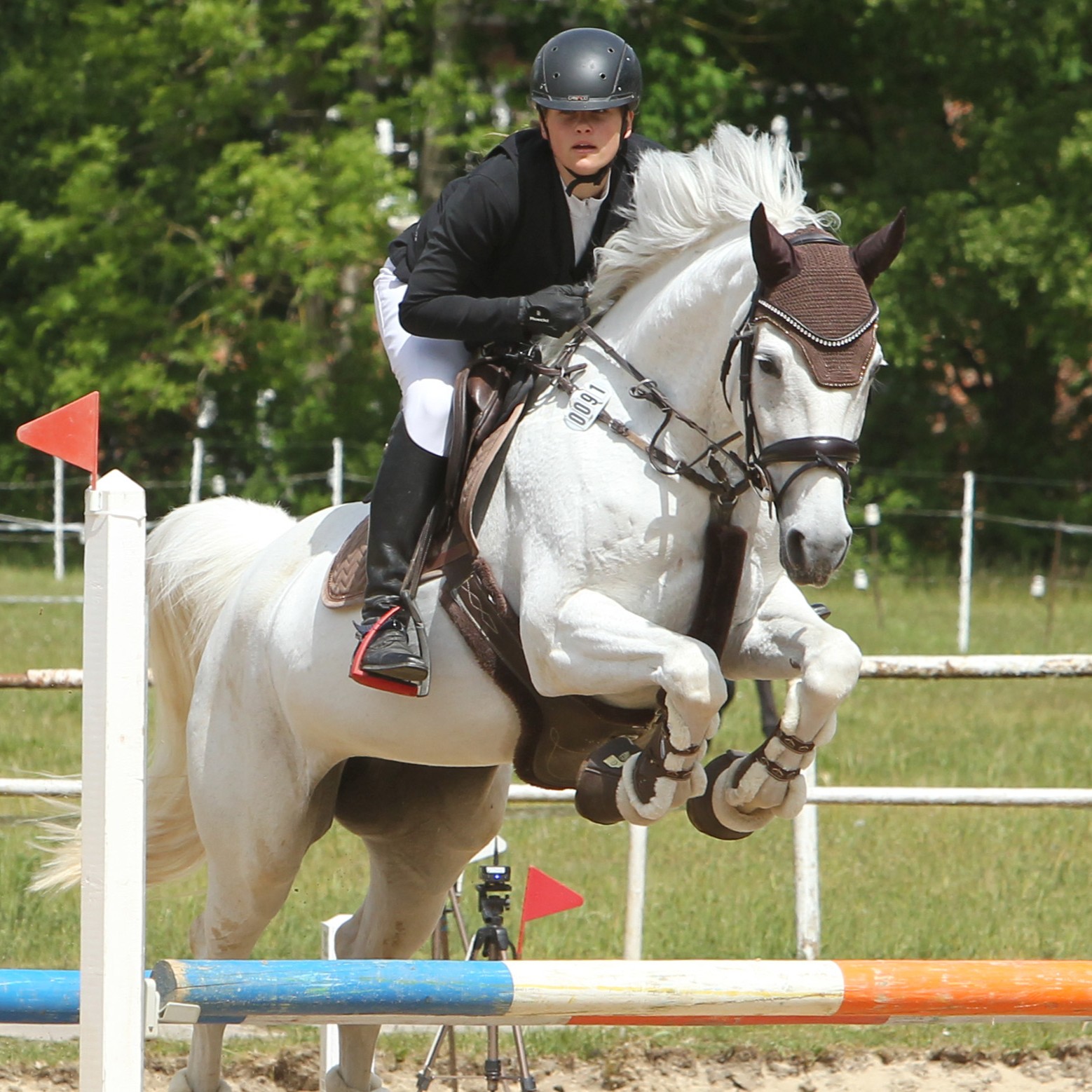 Reiter mit Pferd über Hindernis springend.