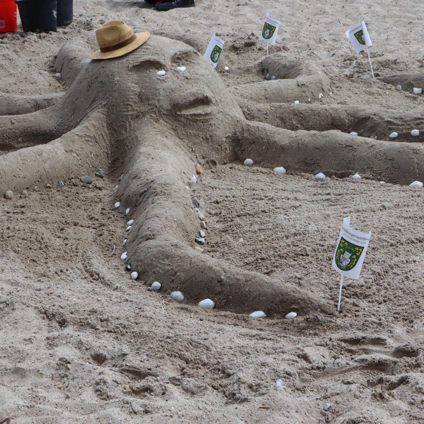 Krake aus Sand