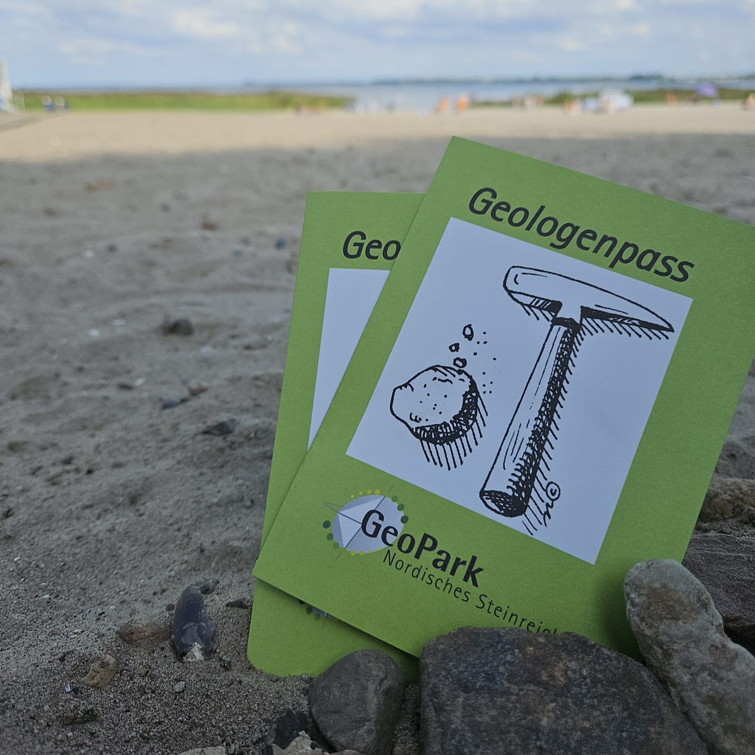 Steine für Kids - Geologenpass