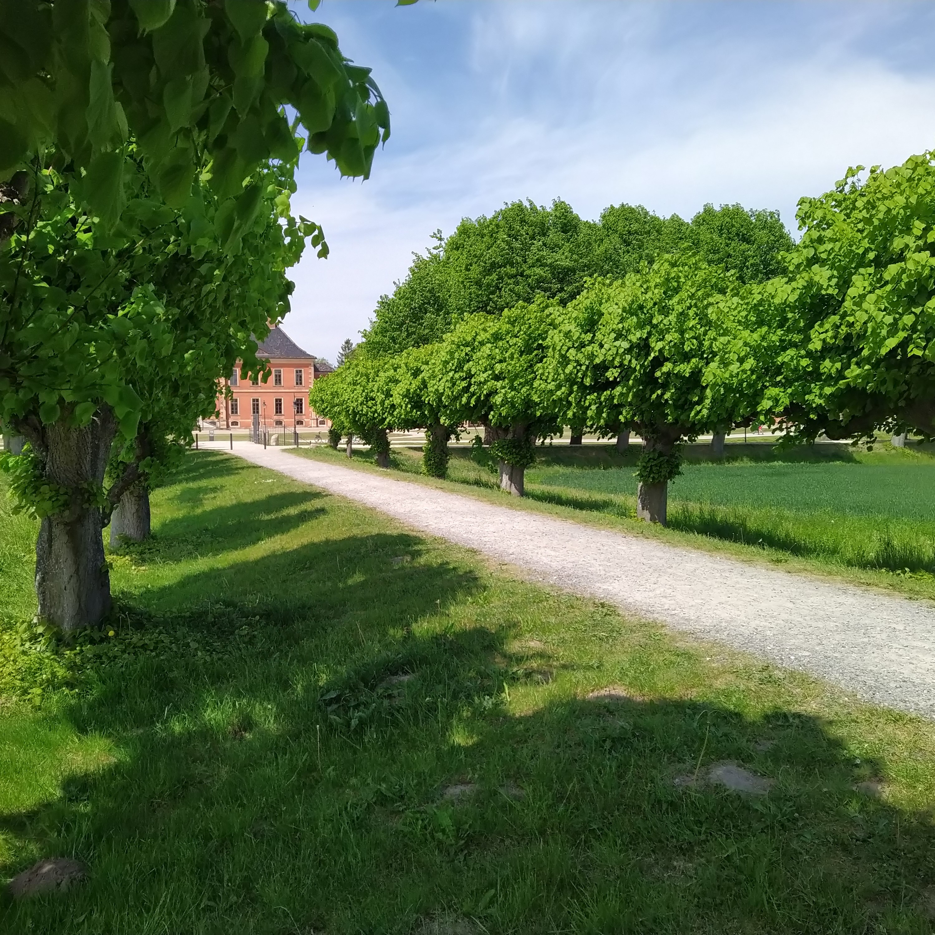 Schloss Bothmer Sas